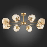 Потолочная люстра Evoluce Pallo SLE155412-08