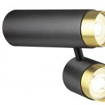 Спот Lumien Hall Sauris LH8020/2C-BK-GD