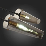 Потолочная люстра на штанге ST Luce Morave SL1209.302.06 (220V)