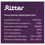 Настенно-потолочный светильник светодиодный Ritter 56025 8