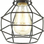 Потолочная люстра Lumion Harald 3637/1C