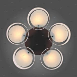 Потолочная люстра ST Luce Foresta SL483.402.05