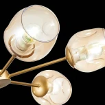 Потолочная люстра Evoluce Pallo SLE155412-06