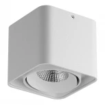 Накладной точечный светильник Lightstar Monocco 212516 (220V)