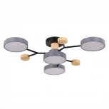 Потолочная люстра на штанге Evoluce Faema SLE6006-702-04