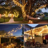 Гирлянда на солнечных батареях Arte Lamp Twinkle A8412IN-100YL