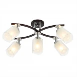 Потолочная люстра на штанге Citilux Фортуна CL156152 (220V)