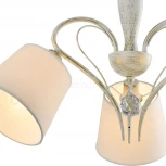 Потолочная люстра Lussole Lgo Stamford LSP-8061 (220V, IP21)