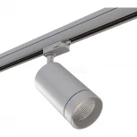 Трековый светильник Lightstar Canno 303592