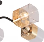 Потолочная люстра на штанге Reluce 01615-0.3-06 BK+FGD (220V)