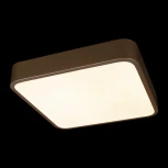 Потолочные светильники Loft It Flims 10228/C (LED, 220V)
