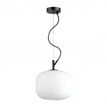 Подвесной светильник Odeon Light Roofi 4753/1 (220V, на тросе)