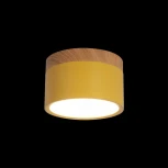 Накладной светильник Grape 10162 Yellow (LED, 220V, круглые)