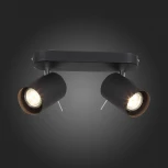 Спот ST Luce Fanale SL597.401.02 (220V, круглые)