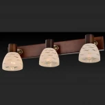 Спот Toplight Shayla TL3730Y-03BB