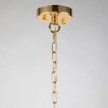 Подвесная люстра Favourite Nubes 2966-5P (220V, на цепи)