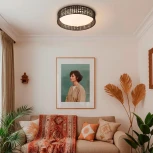 Потолочный светильник круглый LED F-Promo Conrad 4750-4C (регулировка яркости, 220V, пульт управления, круглые)