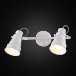 Спот на штанге Citilux Бейкер CL541520 (220V, выключатель, круглые)