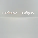 Потолочная люстра Freya Celebrity FR5242CL-24BS1 (220V, шарики)