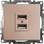 Розетка с USBх2 (шампань) Stekker Катрин 39602