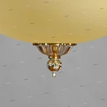 Потолочная люстра Ambiente by Brizzi Tenerife 02166/50 PL WP (220V)