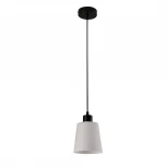 Подвесной светильник Escada Clarity ES0000041 120004/1P E27*60W Black