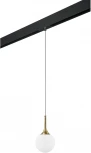Трековый светильник однофазный 220V Lightstar Globo PRO813012 (шар)