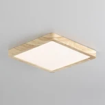 Настенно-потолочный светильник Citilux Бейсик CL738K182V (регулировка яркости, LED, 220V, IP40)