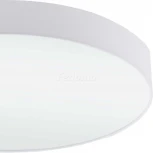 Настенно-потолочный светильник Eglo Pasteri 97615