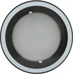 Точечный светильник ЭРА WL40 BK