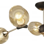 Потолочная люстра Wedo Light Medilya 66560.01.69.06