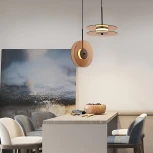 Подвесной светильник Lightera Echuka LE142L-38BR (LED, 220V, на проводе, круглые)