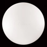 Настенно-потолочный светильник Sonex Leka 2051/EL