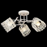 Потолочная люстра на штанге Reluce 04081-0.3-03