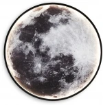 Настенно-потолочный светодиодный светильник Ambrella Wallers Wall FW11110 (220V, круглые)