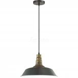 Подвесной светильник Lumion Stig 3677/1 (220V, на проводе, круглые)