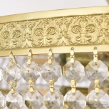 Потолочная люстра Bohemia AL1909 AL19091/55FL AG