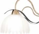 Потолочная люстра на штанге Arte Milano Napoli 327306/5 FG+BK (220V)