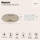 Потолочный светильник Maytoni Broche DIA902-04-N