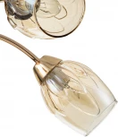 Потолочная люстра Escada Allium 663/5P