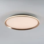 Потолочный светильник светодиодный с пультом с регулировкой цветовой температуры LED4U LED4U L3020-500 GD