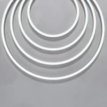 Гибкий неон 1206 24В 9,6Вт/м 6000K IP67 5м Maytoni 20068