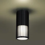 Потолочный светильник Novotech Costas 370993 черный E27 max 25W 220V (круглые, IP54)