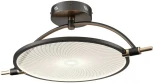 Потолочная люстра Wertmark Laura WE430.02.027 (LED, 220V, круглые)