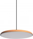 Подвесной светильник Plato 10119 Orange Loft It (LED, 220V, на проводе)