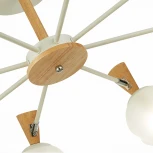 Потолочная люстра на штанге Evoluce Catania SLE220702-08 (шарики)