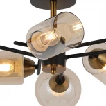 Потолочная люстра на штанге ILLUMICO IL8243-6COU-79 BK GD (220V)