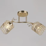 Потолочная люстра на штанге Reluce 04481-0.3-02 FGD (220V)