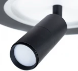 Спот Arte Lamp Tommy A2607AP-20BK