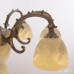 Подвесная люстра Bohemia Verona 72109P/8/210 Ni P1 D Angel